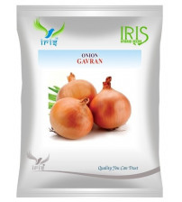 Onion OP Iris Gavaran - 50 grams